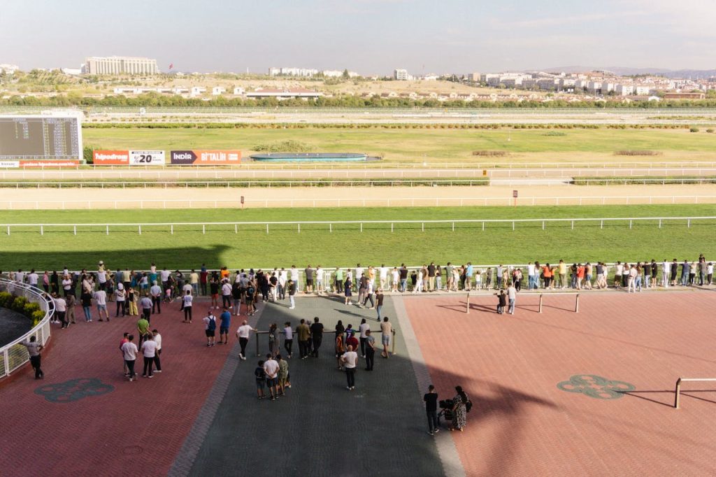 A crowd gathers at the racetrack on a sunny day, watching the horse races unfold.